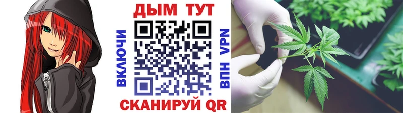 Бошки Шишки планчик Ясногорск
